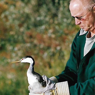 Larry Boyd releasing bird