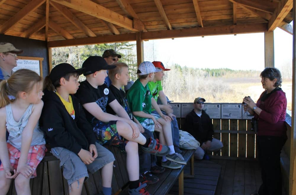 School children learning about wildlife